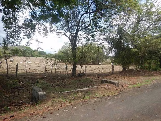 $688,000 SE VENDE FINCA DE 58 HECTAREAS PLANAS  EN MARIABE DE PEDASI, LOS SANTOS JB