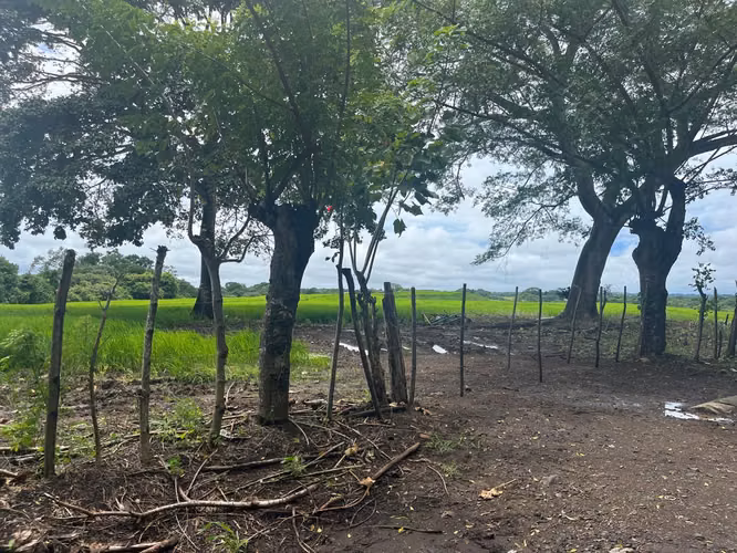 $688,000 SE VENDE FINCA DE 58 HECTAREAS PLANAS  EN MARIABE DE PEDASI, LOS SANTOS JB
