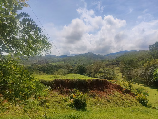 $2,500 LA HECTAREA VENDO 862+6643 MTS2 MARIATO VERAGUAS