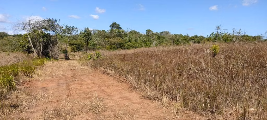 SE VENDE 65,392MT2 LA CHORRERA PERMISO Y ESTUDIOS APROBADOS