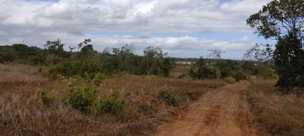 SE VENDE 65,392MT2 LA CHORRERA PERMISO Y ESTUDIOS APROBADOS