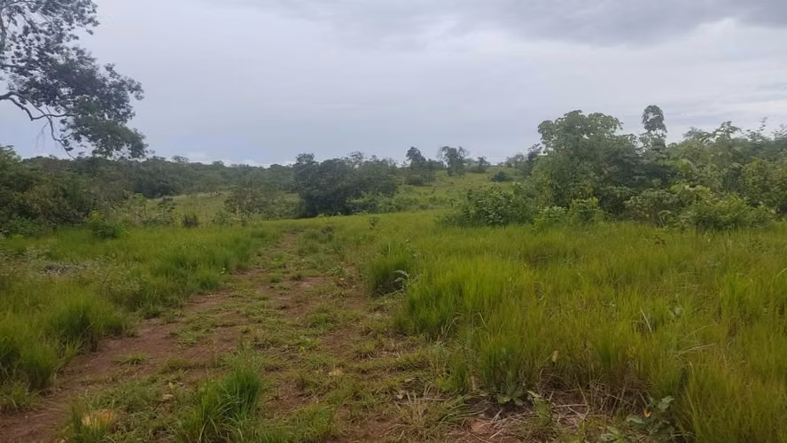 SE VENDE 65,392MT2 LA CHORRERA PERMISO Y ESTUDIOS APROBADOS