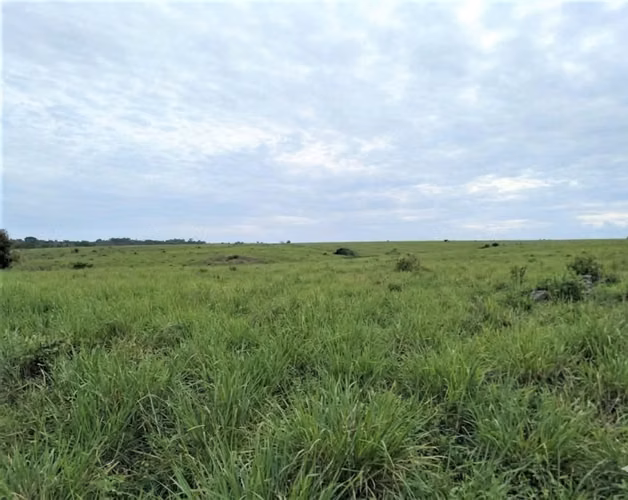 SE VENDE 65,392MT2 LA CHORRERA PERMISO Y ESTUDIOS APROBADOS