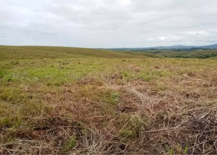 SE VENDE 65,392MT2 LA CHORRERA PERMISO Y ESTUDIOS APROBADOS