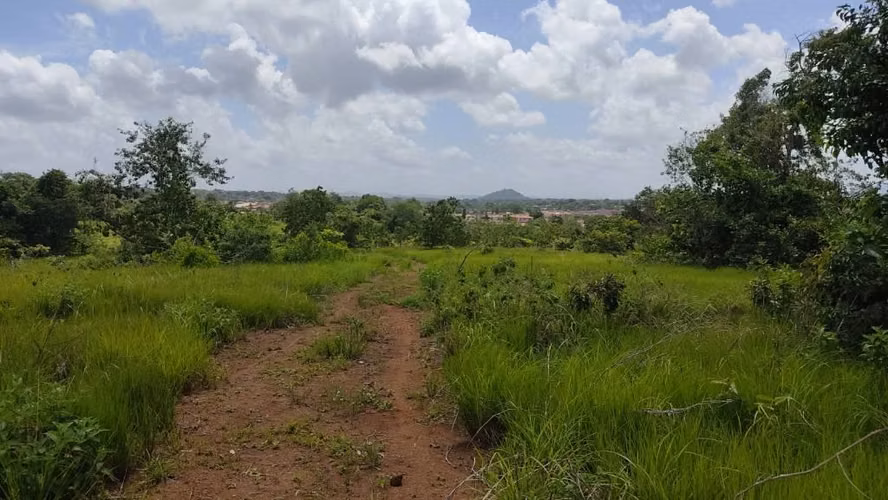 SE VENDE 65,392MT2 LA CHORRERA PERMISO Y ESTUDIOS APROBADOS