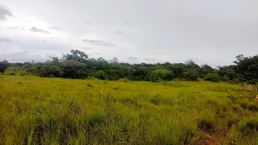 SE VENDE 65,392MT2 LA CHORRERA PERMISO Y ESTUDIOS APROBADOS
