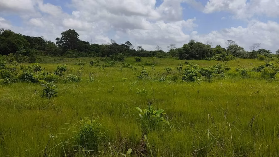 SE VENDE  72560 MT2 LA CHORRERA PERMISOS ESTUDIOS APROBADOS