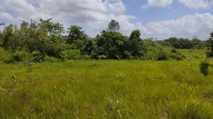 SE VENDE  72560 MT2 LA CHORRERA PERMISOS ESTUDIOS APROBADOS