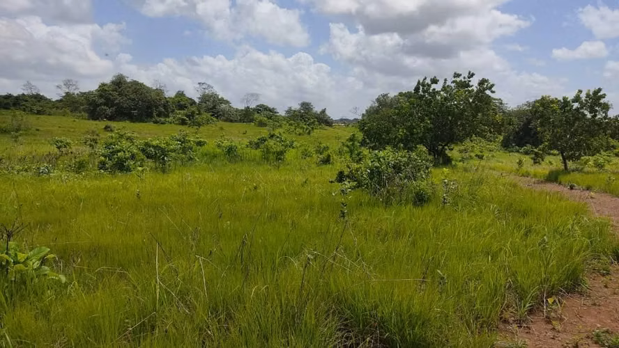 SE VENDE  72560 MT2 LA CHORRERA PERMISOS ESTUDIOS APROBADOS