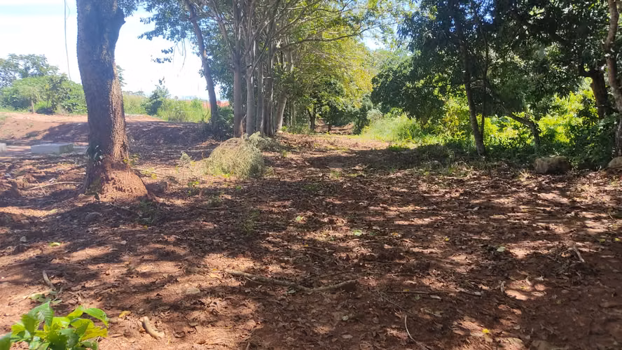 SE VENDE 4.9 HECTÁREA  LA CHORRERA PERMISOS Y ESTUDIOS APROBADOS