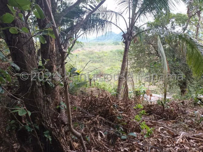 VENTA DE TERRENO EN PENONOME HQ