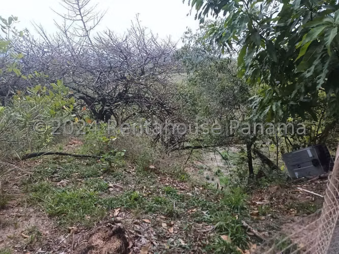 VENTA DE TERRENO EN PENONOME HQ