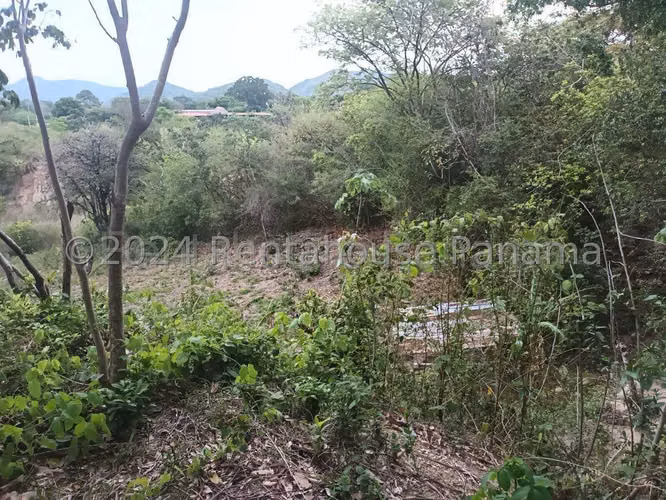 LAND FOR SALE IN PENONOME HQ