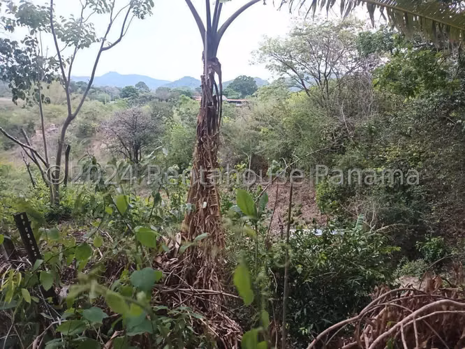 VENTA DE TERRENO EN PENONOME HQ