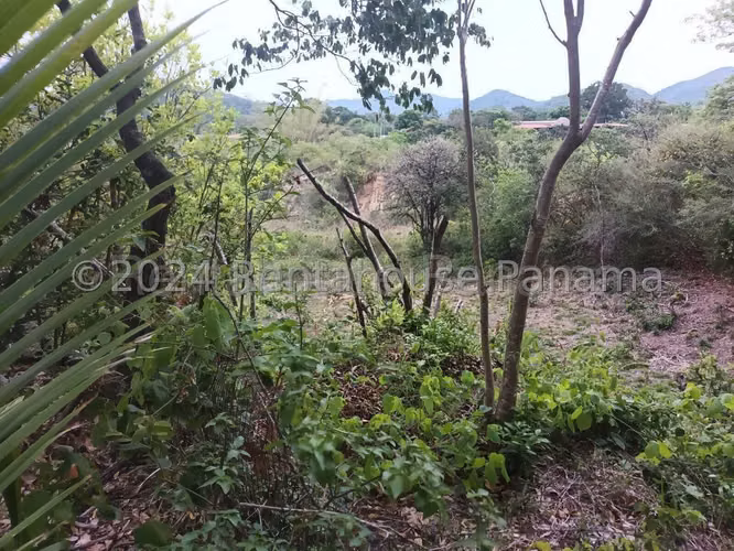 VENTA DE TERRENO EN PENONOME HQ
