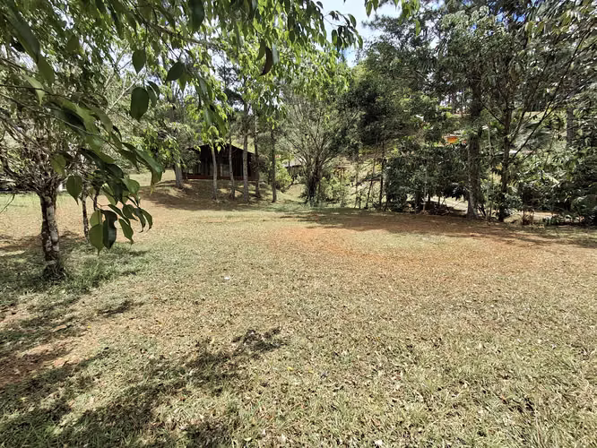 Se vende lote con casita en Altos de Cerro Azul - Imagen 13