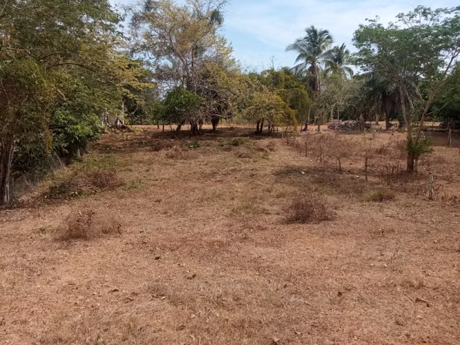 TERRENO - PEDASI CENTRO - Imagen 2