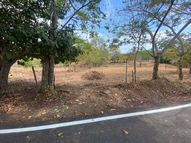TERRENO - PEDASI CENTRO - Imagen 4
