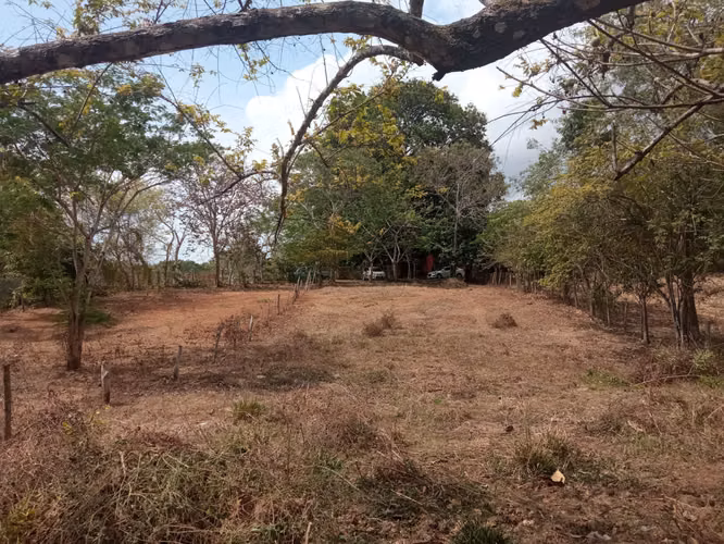 TERRENO - PEDASI CENTRO - Imagen 6