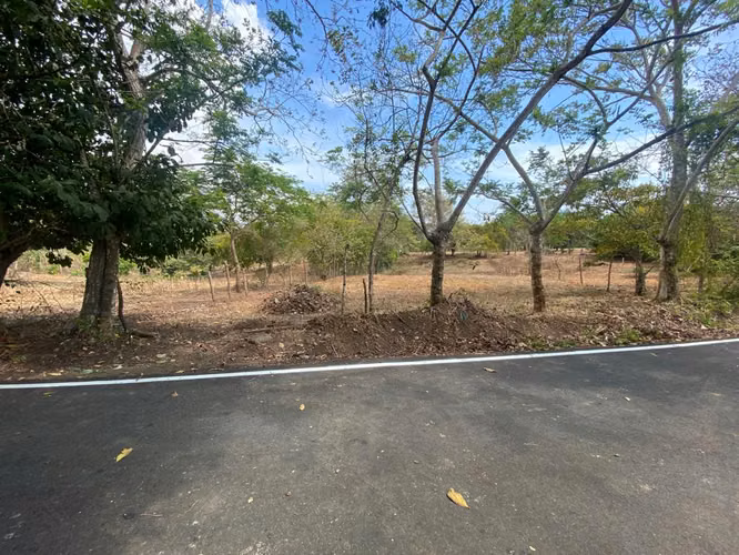 TERRENO - PEDASI CENTRO - Imagen 3