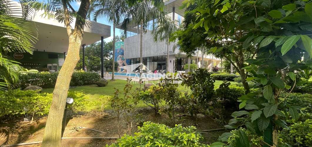Costa del Este, Alquiler de apartamento pH The Regent - Imagen 14