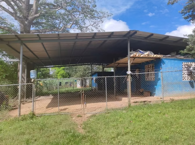 $4,000,000 SE VENDE FINCA DE 348 HECTAREAS PLANAS EN HERRERA A SOLO 6.20 KMTS DE LA PANAMERICANA JB