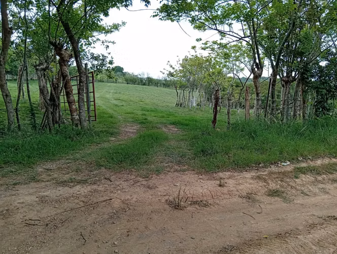 Vendo Terreno en Altos de Los González en Aguadulce (entrada El Cristo)