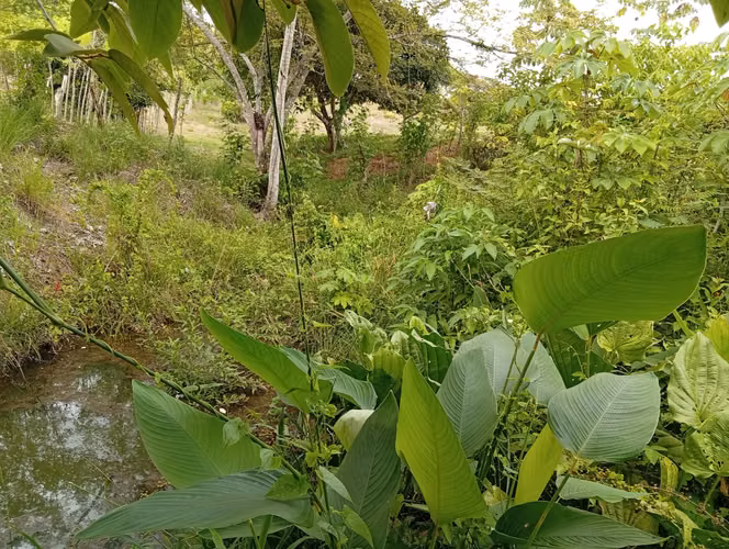 Vendo Terreno en Altos de Los González en Aguadulce (entrada El Cristo)