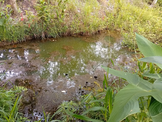 Vendo Terreno en Altos de Los González en Aguadulce (entrada El Cristo)