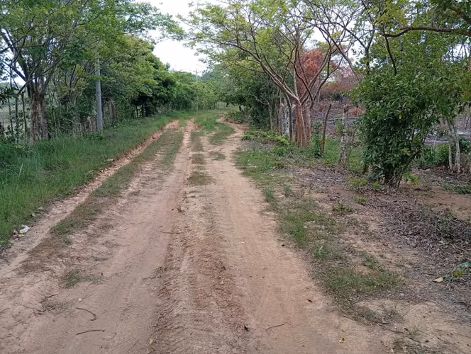 Vendo Terreno en Altos de Los González en Aguadulce (entrada El Cristo)