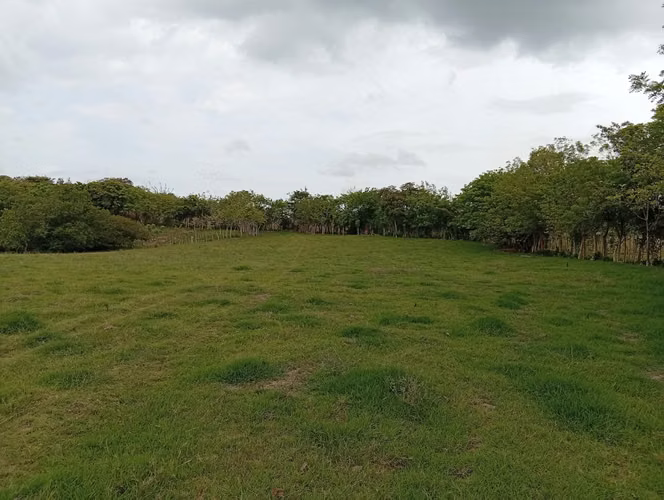 Sale of land in Altos de Los González in Aguadulce (entry The Christ)