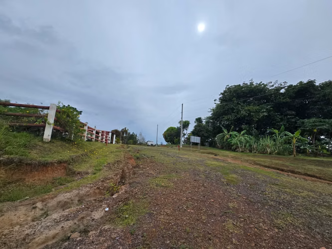 VENDO $42,000 / 2MIL METROS / RIO HATO / GUÍAS DE OCCIDENTE /