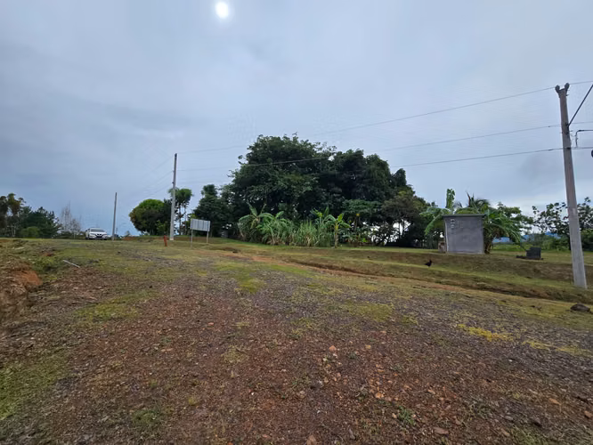 VENDO $42,000 / 2MIL METROS / RIO HATO / GUÍAS DE OCCIDENTE /