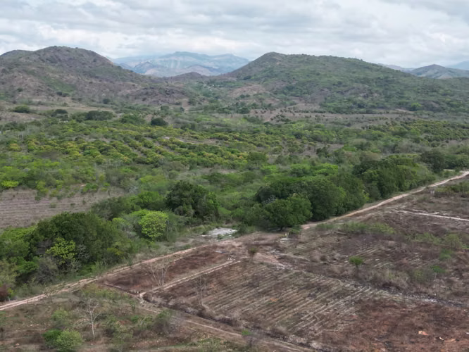 Venta de Finca en Natá, Los Olivos, Coclé, 210 hectáreas