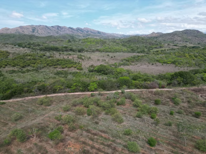 Venta de Finca en Natá, Los Olivos, Coclé, 210 hectáreas