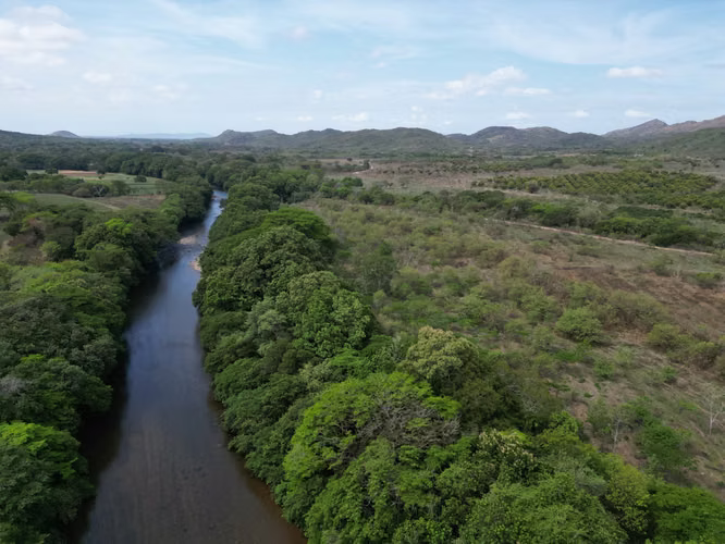 Venta de Finca en Natá, Los Olivos, Coclé, 210 hectáreas