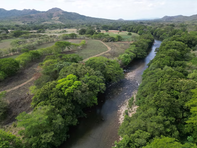 Venta de Finca en Natá, Los Olivos, Coclé, 210 hectáreas