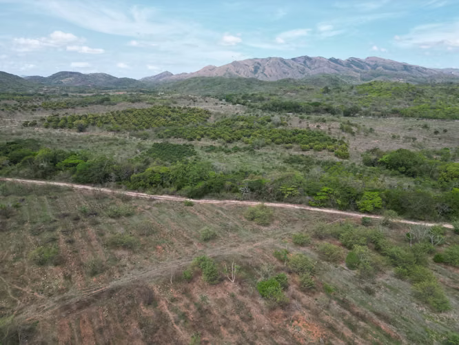 Venta de Finca en Natá, Los Olivos, Coclé, 210 hectáreas