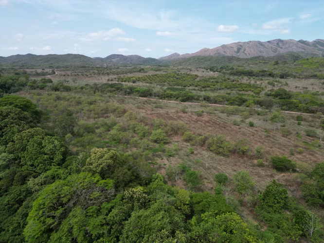 Venta de Finca en Natá, Los Olivos, Coclé, 210 hectáreas