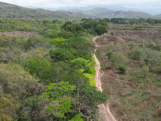 Venta de Finca en Natá, Los Olivos, Coclé, 210 hectáreas
