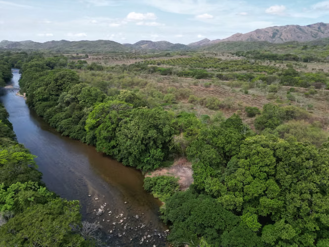 Venta de Finca en Natá, Los Olivos, Coclé, 210 hectáreas