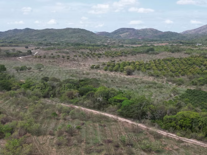 Venta de Finca en Natá, Los Olivos, Coclé, 210 hectáreas