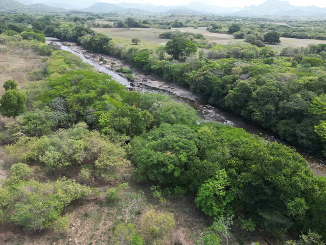 Venta de Finca en Natá, Los Olivos, Coclé, 210 hectáreas