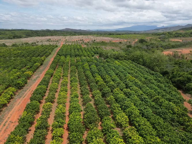 Venta de Finca en El Cortezo, Toza, Natá, Coclé, 259 hectáreas