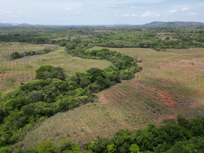 Venta de Finca en El Cortezo, Toza, Natá, Coclé, 259 hectáreas