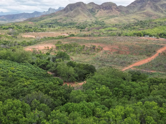 Venta de Finca en El Cortezo, Toza, Natá, Coclé, 259 hectáreas