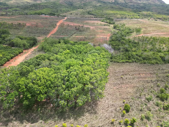 Venta de Finca en El Cortezo, Toza, Natá, Coclé, 259 hectáreas