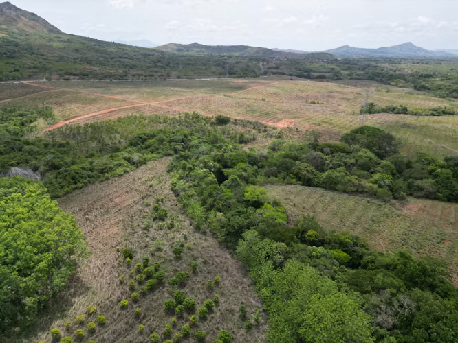Venta de Finca en El Cortezo, Toza, Natá, Coclé, 259 hectáreas