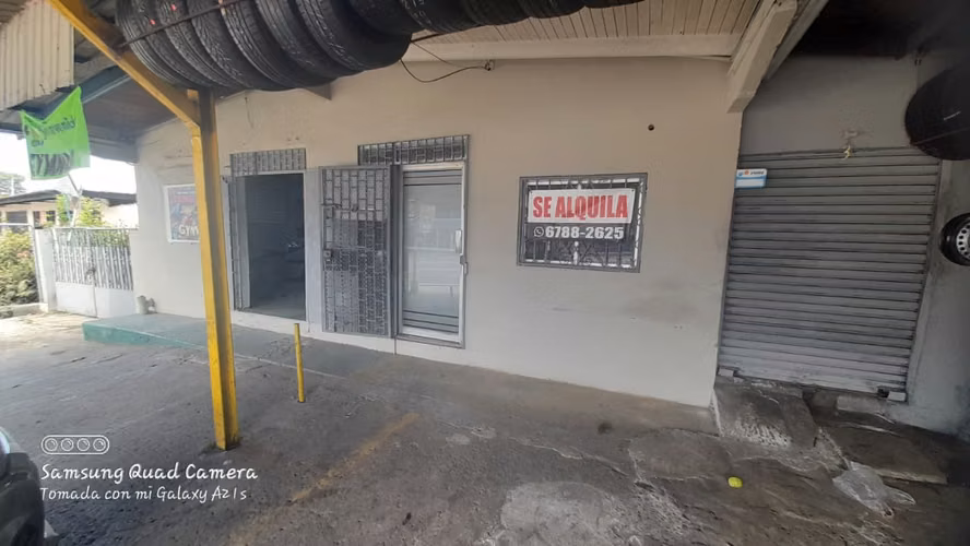 ALQUILER DE  LOCAL COMERCIAL - PEDREGAL - Imagen 13