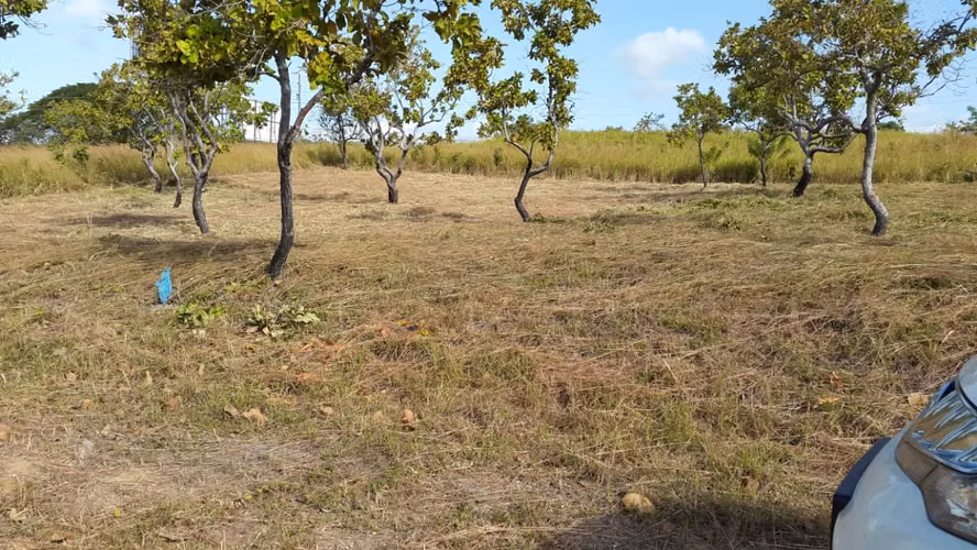 Vendo, Terreno, $ 49,000, lote 1450mts, acceso agua y luz.